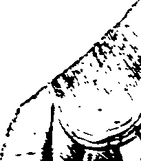 069/069260050101920_0.png