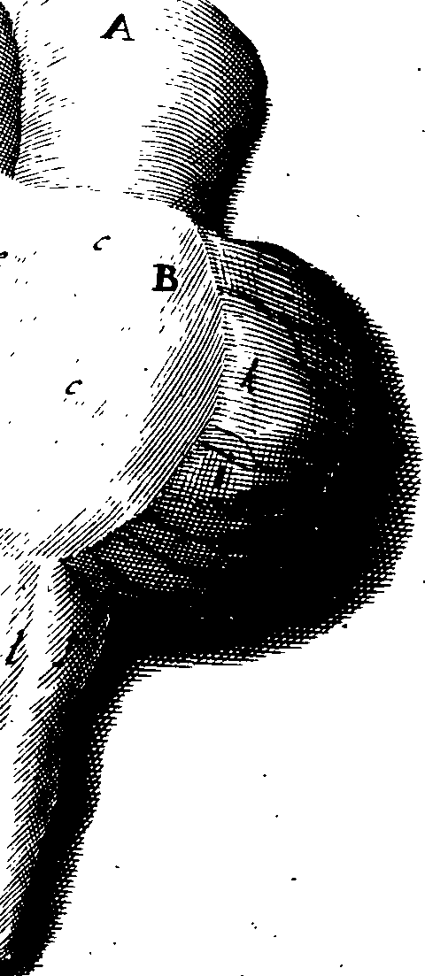 069/069260050201100_0.png