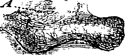 069/069260050201370_0.png