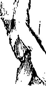 069/069260050202800_0.png
