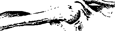 069/069260050202800_1.png