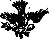 069/069280050000880_0.png