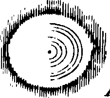 069/069290010606260_0.png