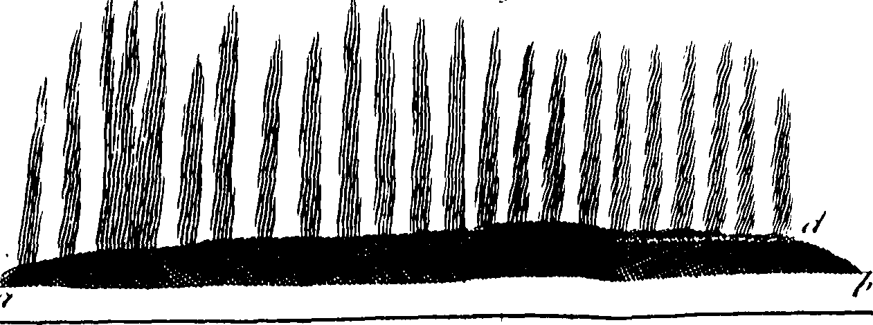 069/069290010606490_0.png