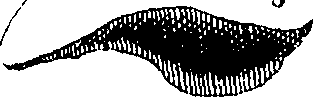 069/069290010607550_0.png