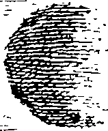 069/069290010607740_2.png