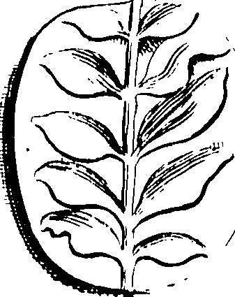 069/069290010608180_0.png