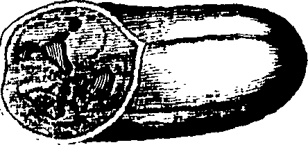 069/069290010609230_0.png
