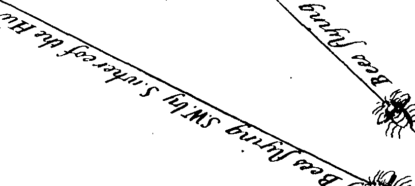 069/069300010700040_0.png