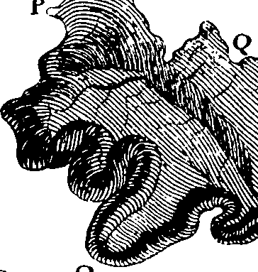 069/069300010700570_0.png