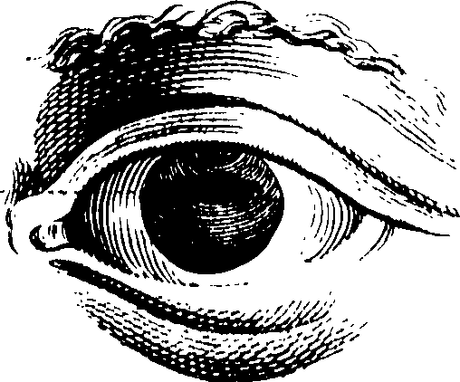 069/069300010701070_0.png