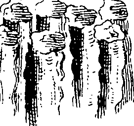 069/069300010701070_2.png
