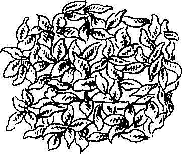 069/069300010701070_3.png