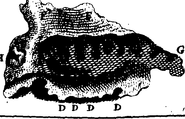 069/069300010701100_0.png