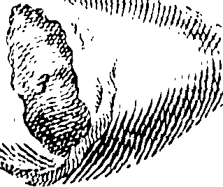 069/069300010701390_0.png
