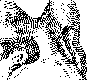 069/069300010701390_1.png