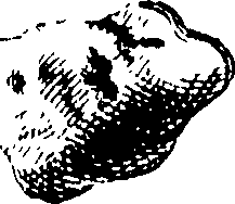 069/069300010701510_1.png