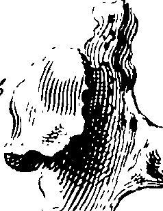 069/069300010701510_2.png