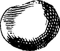 069/069300010701560_0.png