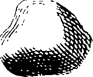 069/069300010701560_2.png