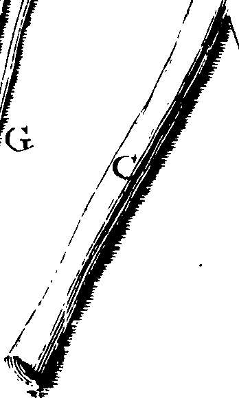 069/069300010701610_0.png
