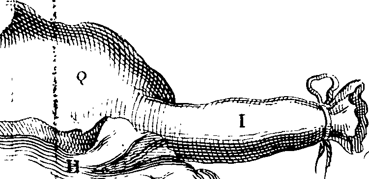 069/069300010701810_1.png
