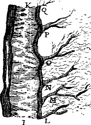 069/069300010703120_0.png