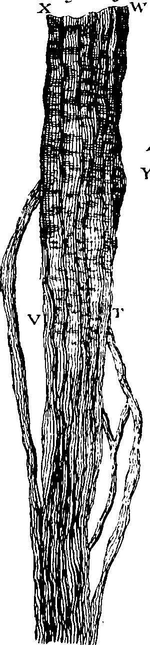 069/069300010703120_1.png