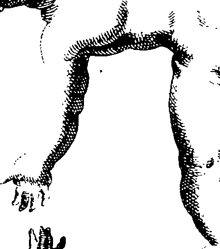 069/069300010703170_1.png