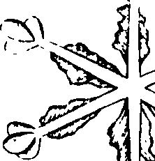 069/069300010704820_0.png