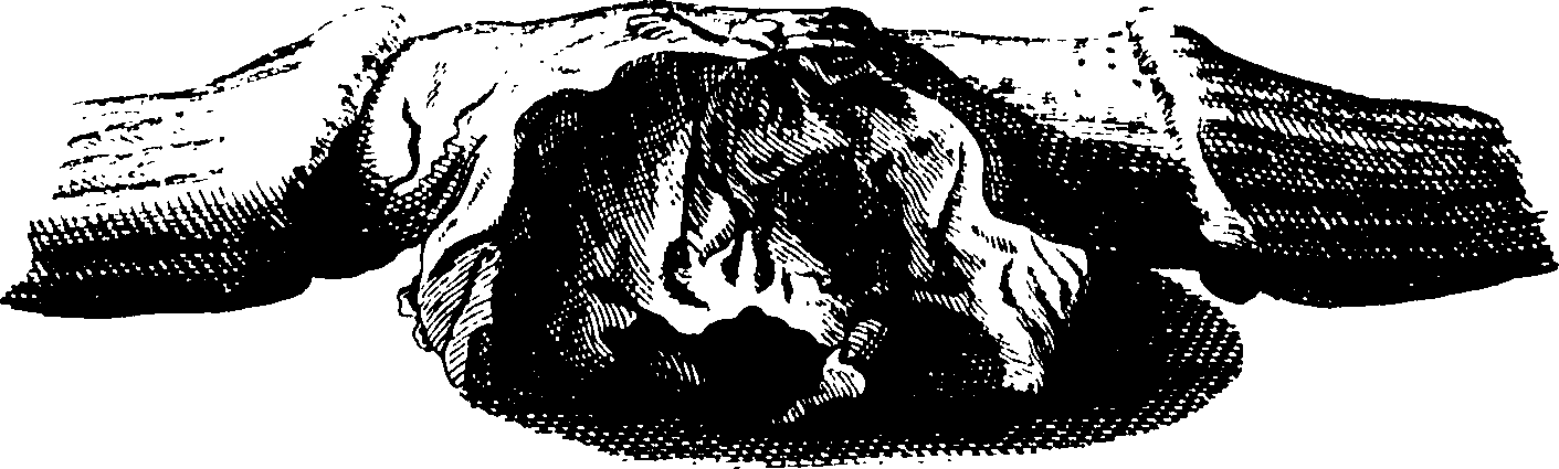 069/069300010704890_0.png