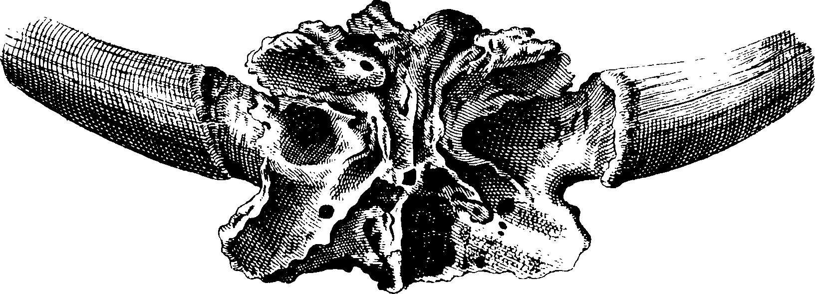 069/069300010704890_1.png