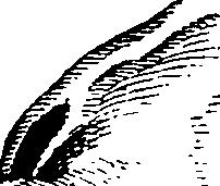 069/069300010704890_3.png