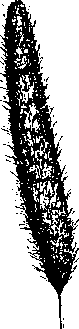 069/069300030003930_1.png
