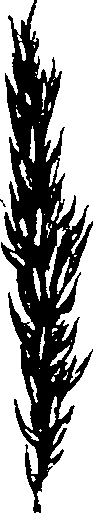 069/069300030003940_0.png