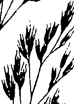069/069300030004030_0.png