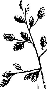 069/069300030004050_0.png