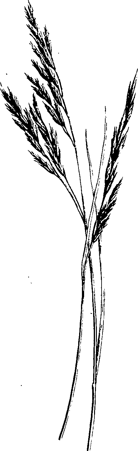 069/069300030004070_0.png