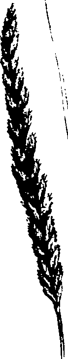 069/069300030004140_0.png