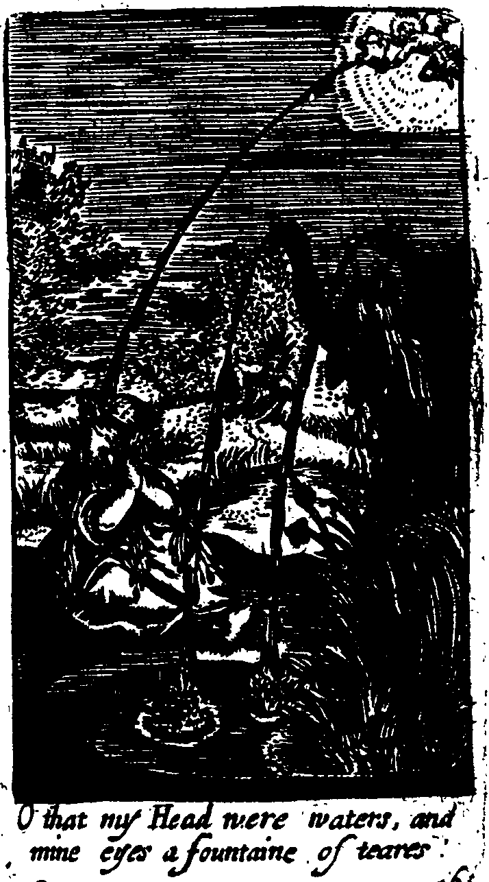 069/069320100001620_0.png