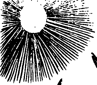 069/069320100003460_0.png