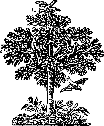 069/069510080000320_0.png