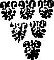 069/069530010102660_0.png