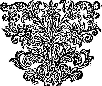 069/069530010102740_0.png