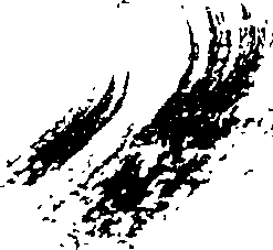 069/069540020000080_0.png