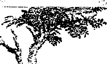 069/069580030000010_0.png