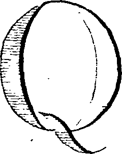 069/069580110000200_0.png