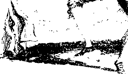 069/069600010004940_0.png