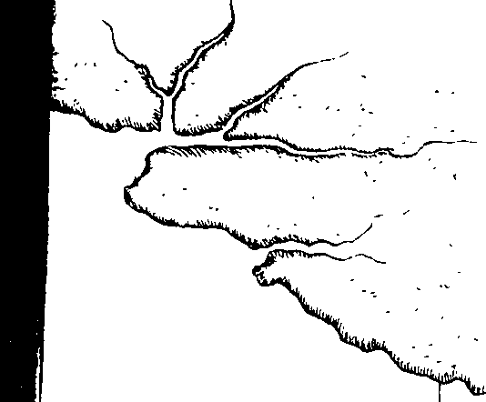 069/069650080000340_1.png