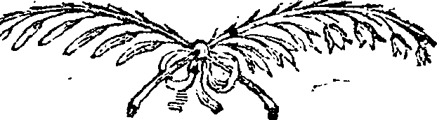 069/069720020000030_0.png